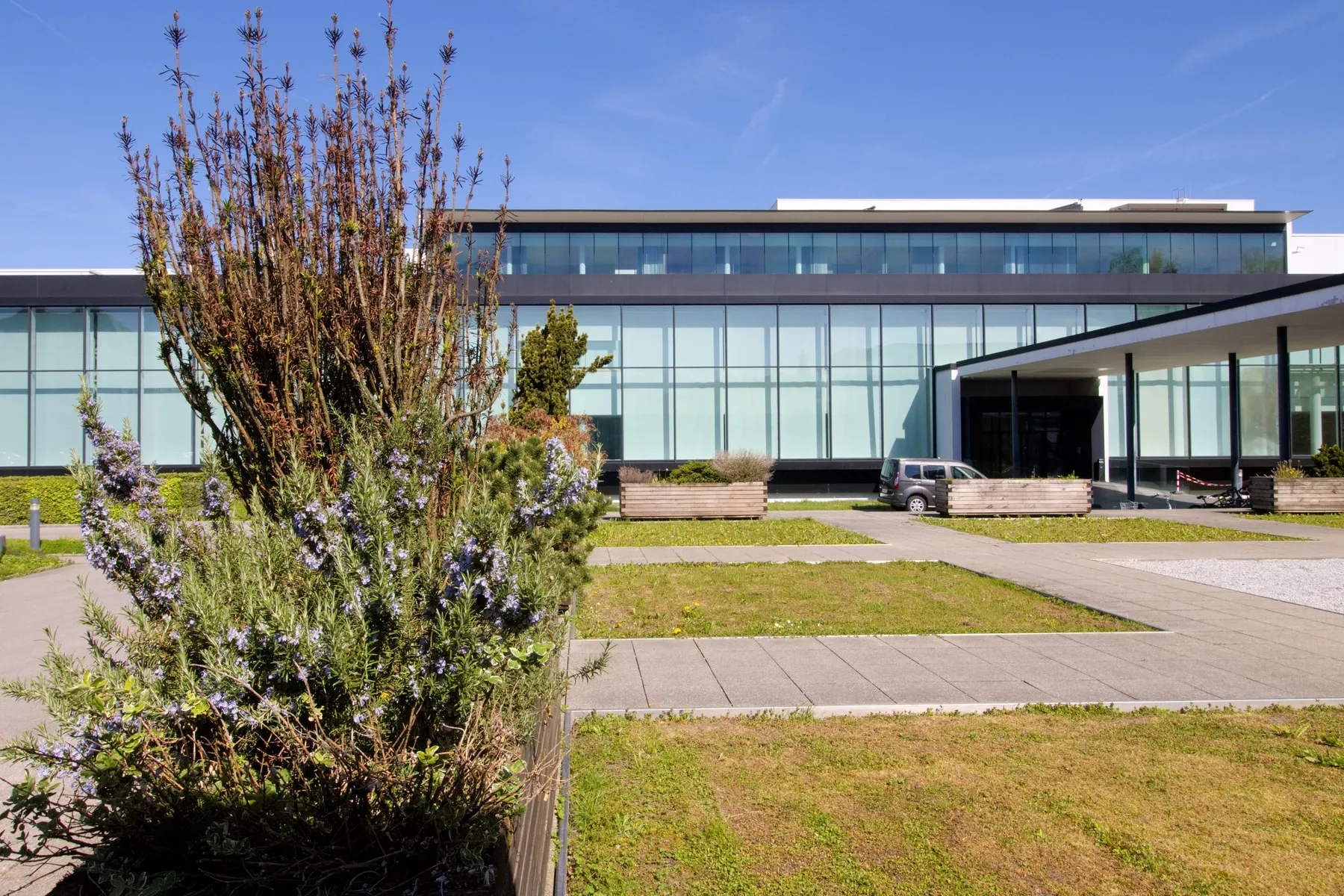 Wolford's headquarters and Factory Outlet building on Rheinstraße in Bregenz, with greenery in front and a blue sky