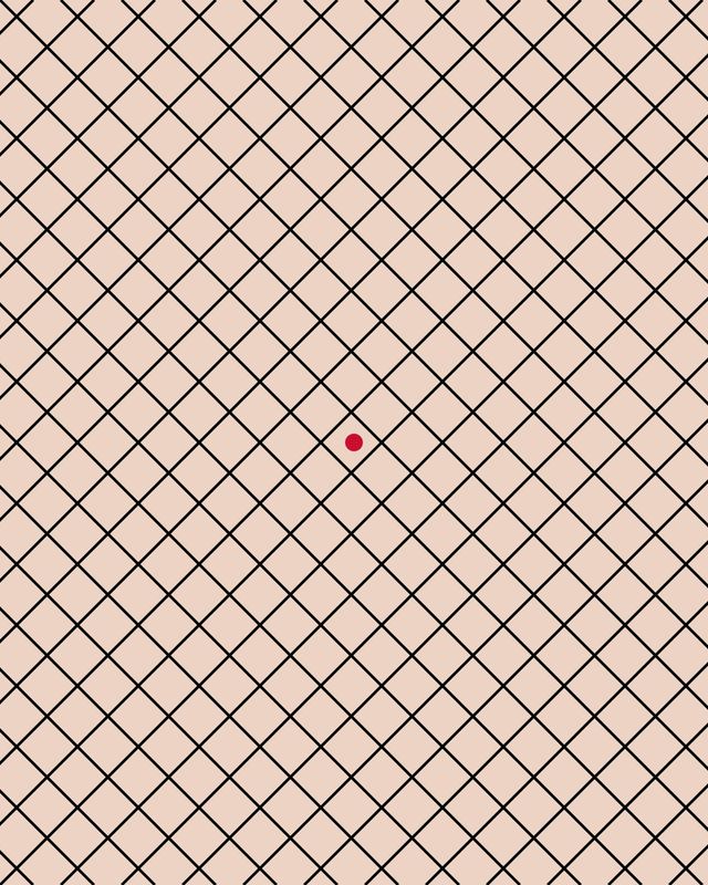 A black fishing-net pattern on a nude background