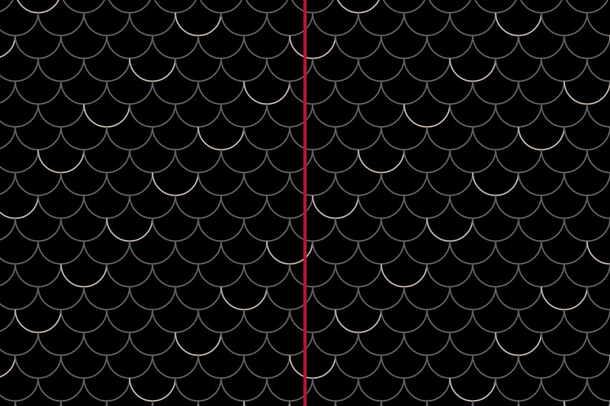 Illustration: python-scale pattern on black with a red seam