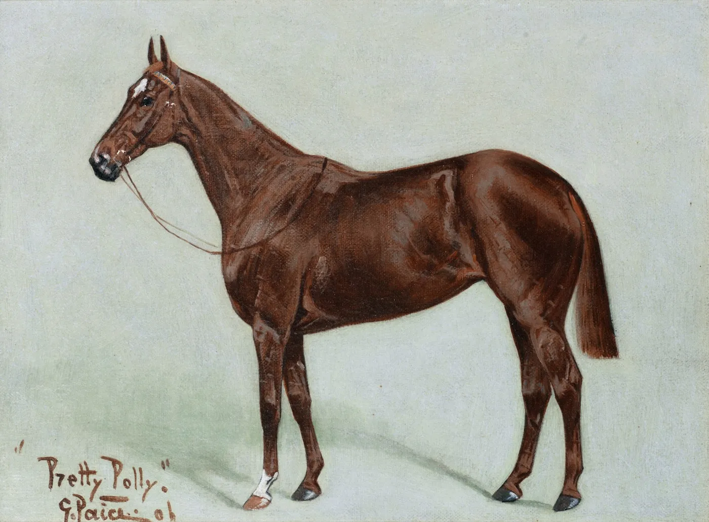 Painting of a chestnut racehorse in a bridle, in profile on a pale background, inscribed Pretty Polly and signed by George Paice
